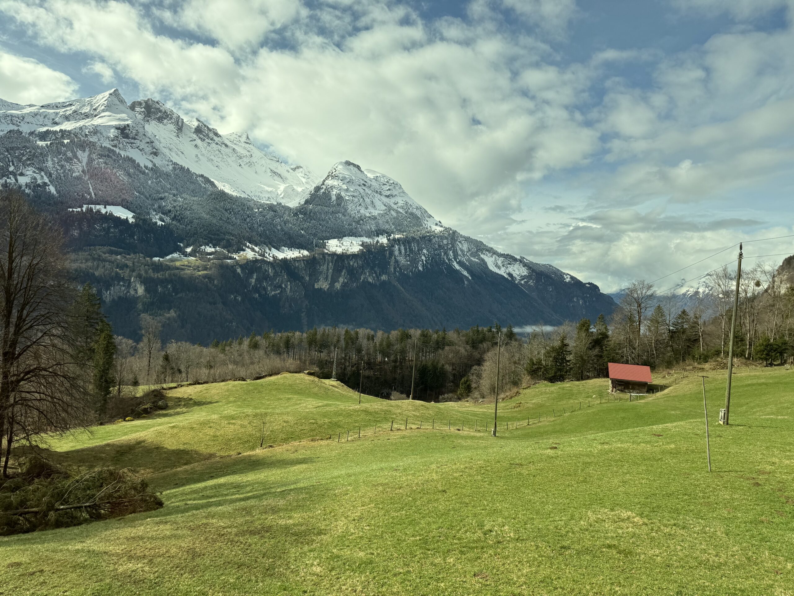 Swiss Alps